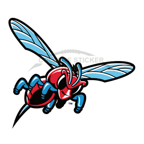 Customs Delaware State Hornets Iron-on Transfers (Wall Stickers)NO.4245